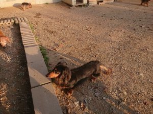 f:id:roukenhome-ann:20181113075550j:plain