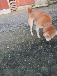 f:id:roukenhome-ann:20181113075554j:plain