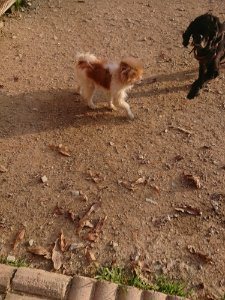 f:id:roukenhome-ann:20181113075602j:plain