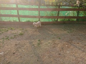 f:id:roukenhome-ann:20181113075606j:plain