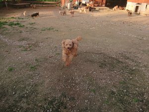 f:id:roukenhome-ann:20181113075616j:plain