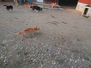 f:id:roukenhome-ann:20181113075623j:plain