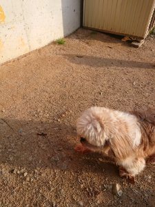 f:id:roukenhome-ann:20181113075627j:plain