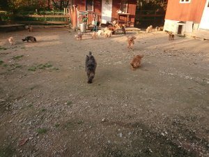 f:id:roukenhome-ann:20181113075634j:plain