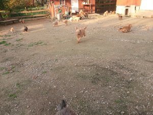 f:id:roukenhome-ann:20181113075638j:plain