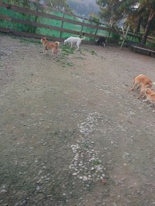 f:id:roukenhome-ann:20181113075641j:plain