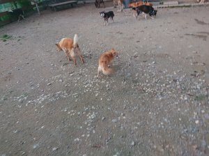 f:id:roukenhome-ann:20181113075645j:plain