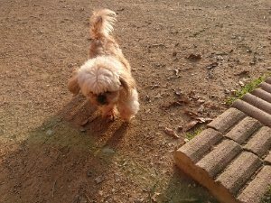f:id:roukenhome-ann:20181113075648j:plain
