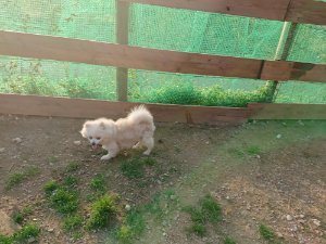f:id:roukenhome-ann:20181113075655j:plain