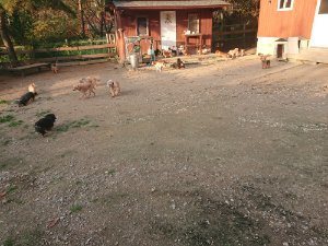 f:id:roukenhome-ann:20181113075714j:plain