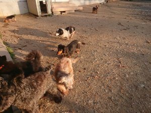 f:id:roukenhome-ann:20181113075724j:plain
