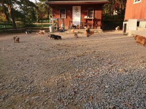 f:id:roukenhome-ann:20181113080307j:plain