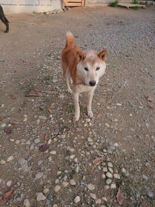 f:id:roukenhome-ann:20181113080311j:plain