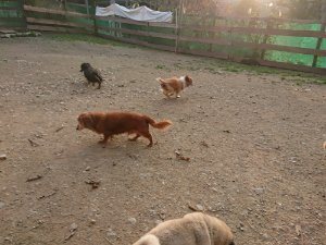 f:id:roukenhome-ann:20181113080315j:plain