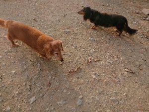 f:id:roukenhome-ann:20181113080318j:plain
