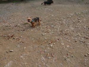 f:id:roukenhome-ann:20181113080322j:plain