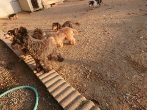 f:id:roukenhome-ann:20181113080326j:plain