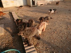 f:id:roukenhome-ann:20181113080329j:plain
