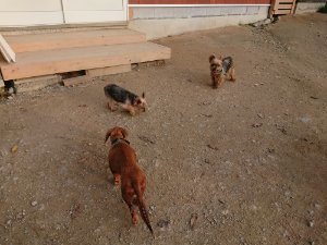 f:id:roukenhome-ann:20181113080343j:plain
