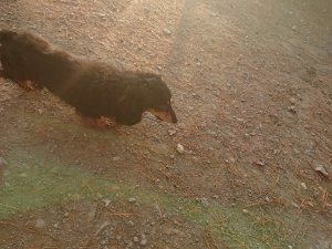 f:id:roukenhome-ann:20181113080350j:plain
