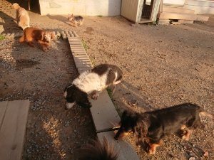 f:id:roukenhome-ann:20181113080354j:plain