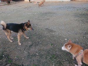 f:id:roukenhome-ann:20181113080405j:plain