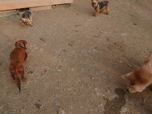 f:id:roukenhome-ann:20181113080413j:plain