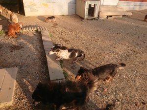 f:id:roukenhome-ann:20181113080417j:plain