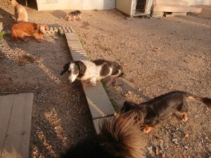 f:id:roukenhome-ann:20181113080424j:plain