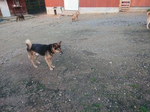 f:id:roukenhome-ann:20181113080434j:plain