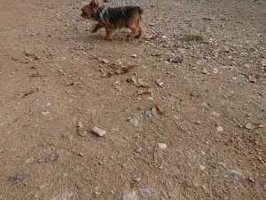 f:id:roukenhome-ann:20181113080438j:plain
