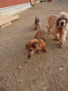 f:id:roukenhome-ann:20181113080442j:plain