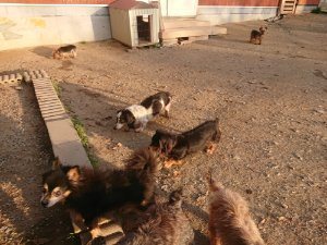 f:id:roukenhome-ann:20181113080446j:plain