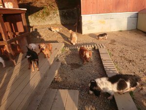 f:id:roukenhome-ann:20181113080450j:plain