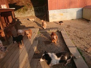 f:id:roukenhome-ann:20181113080454j:plain