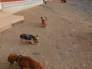 f:id:roukenhome-ann:20181113080502j:plain