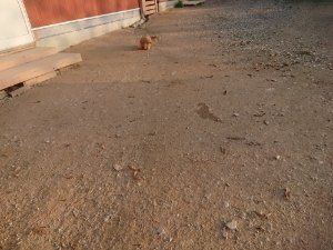 f:id:roukenhome-ann:20181113080505j:plain
