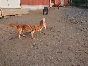 f:id:roukenhome-ann:20181113080512j:plain