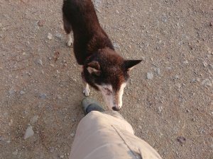f:id:roukenhome-ann:20181113080516j:plain