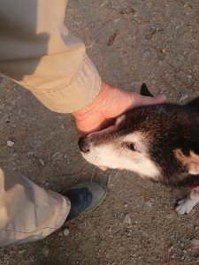 f:id:roukenhome-ann:20181113080530j:plain
