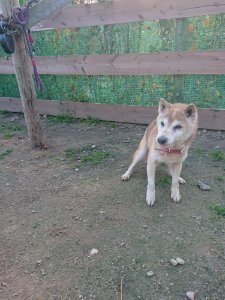 f:id:roukenhome-ann:20181113080556j:plain