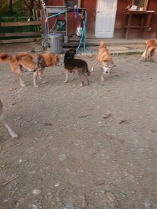f:id:roukenhome-ann:20181113080836j:plain