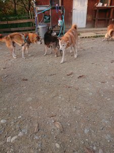 f:id:roukenhome-ann:20181113080843j:plain