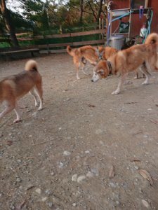 f:id:roukenhome-ann:20181113080847j:plain