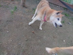 f:id:roukenhome-ann:20181113080857j:plain