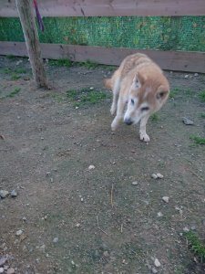 f:id:roukenhome-ann:20181113080900j:plain