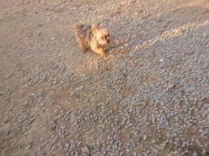 f:id:roukenhome-ann:20181113080908j:plain