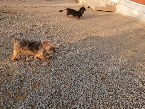 f:id:roukenhome-ann:20181113080915j:plain