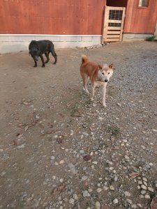 f:id:roukenhome-ann:20181113080919j:plain