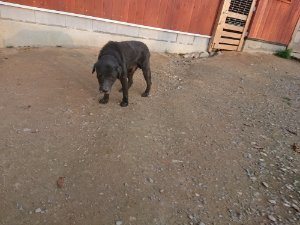 f:id:roukenhome-ann:20181113080923j:plain